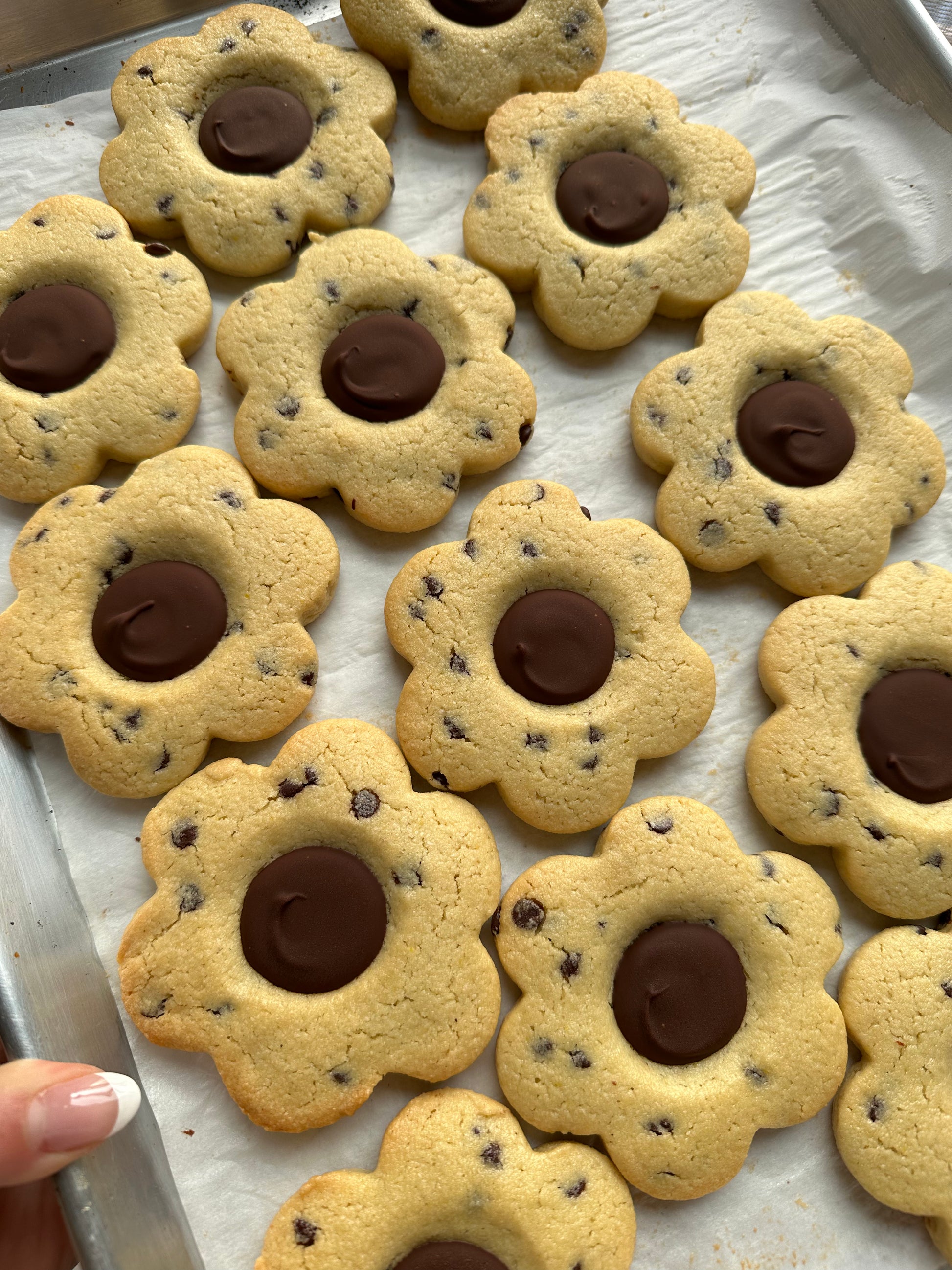 Chocolate Chip Flower Cookies