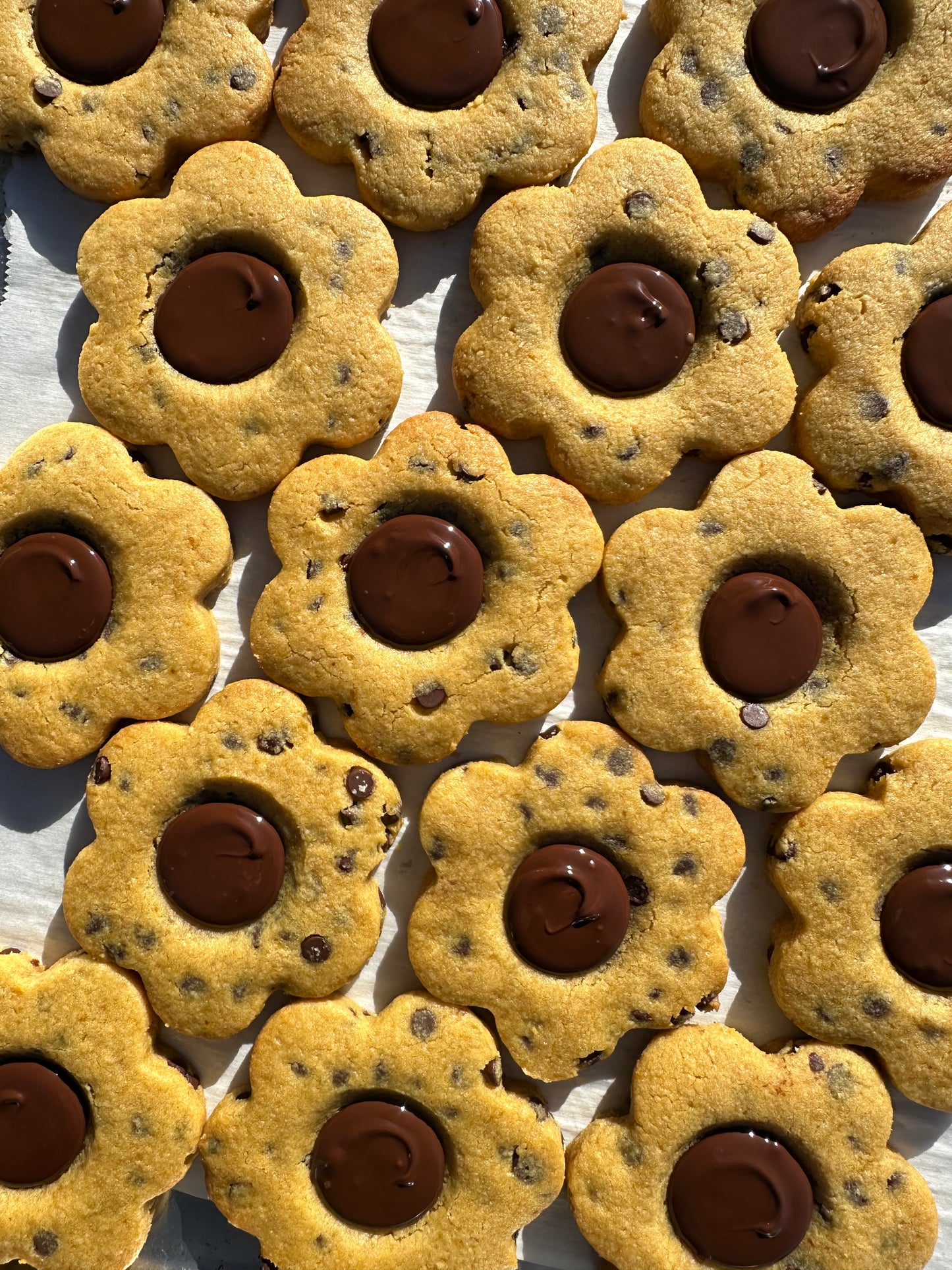 Pumpkin Chocolate Chip (v)