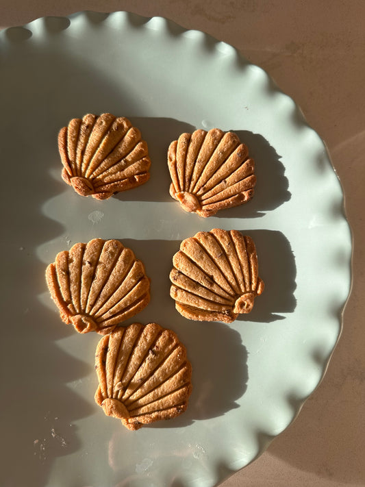 Mini Seashell Cookies