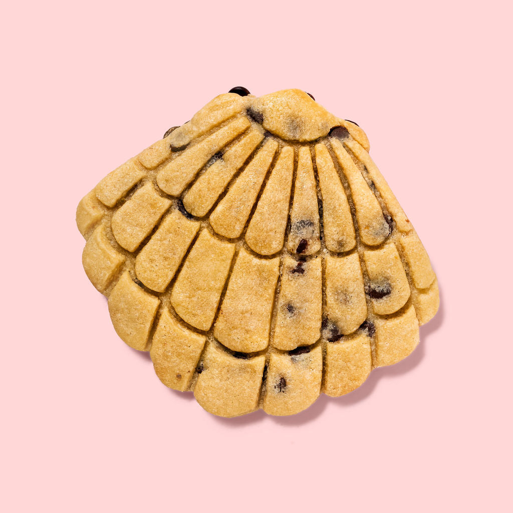 Seashell Cookies