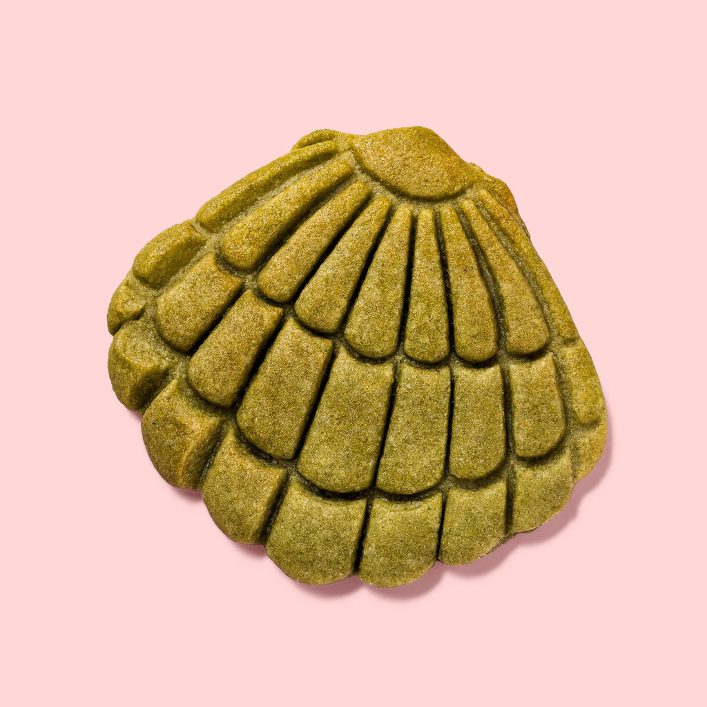 Seashell Cookies