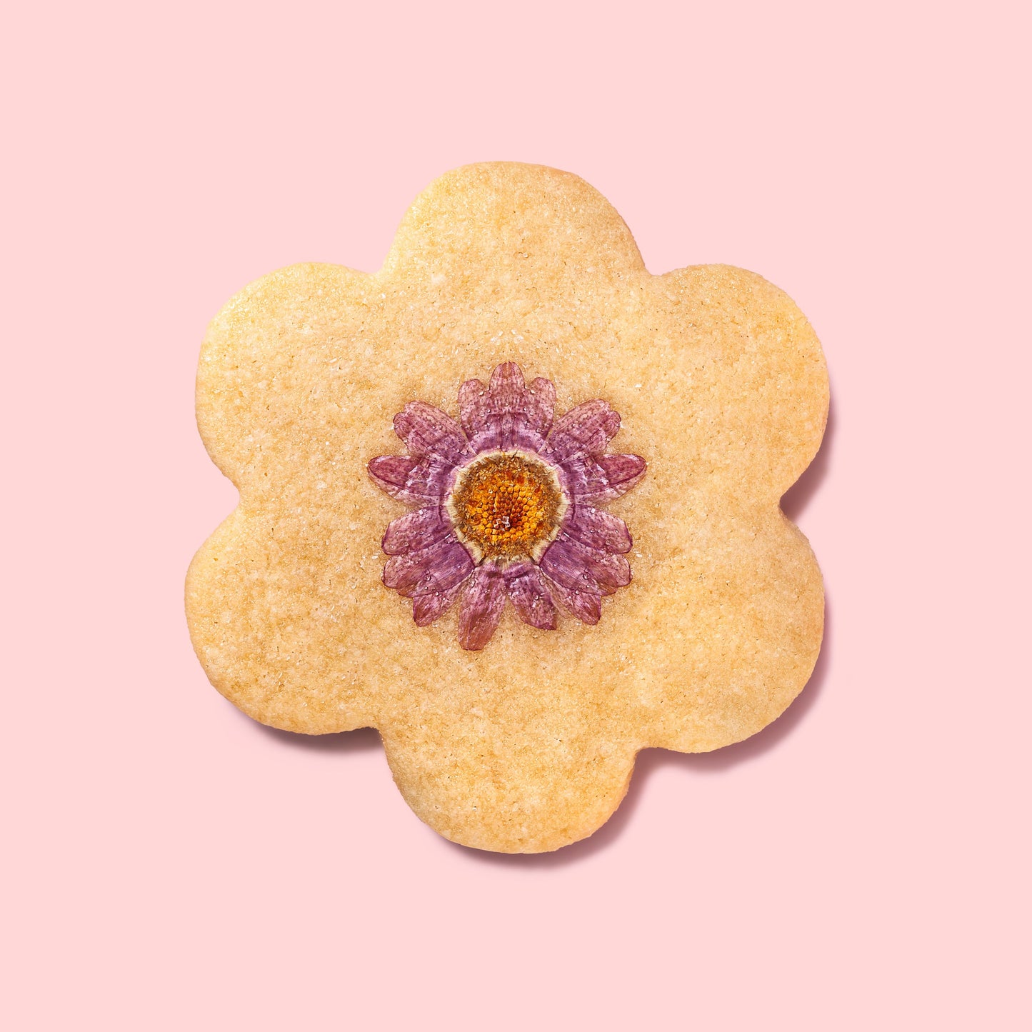 Edible Flower Cookies