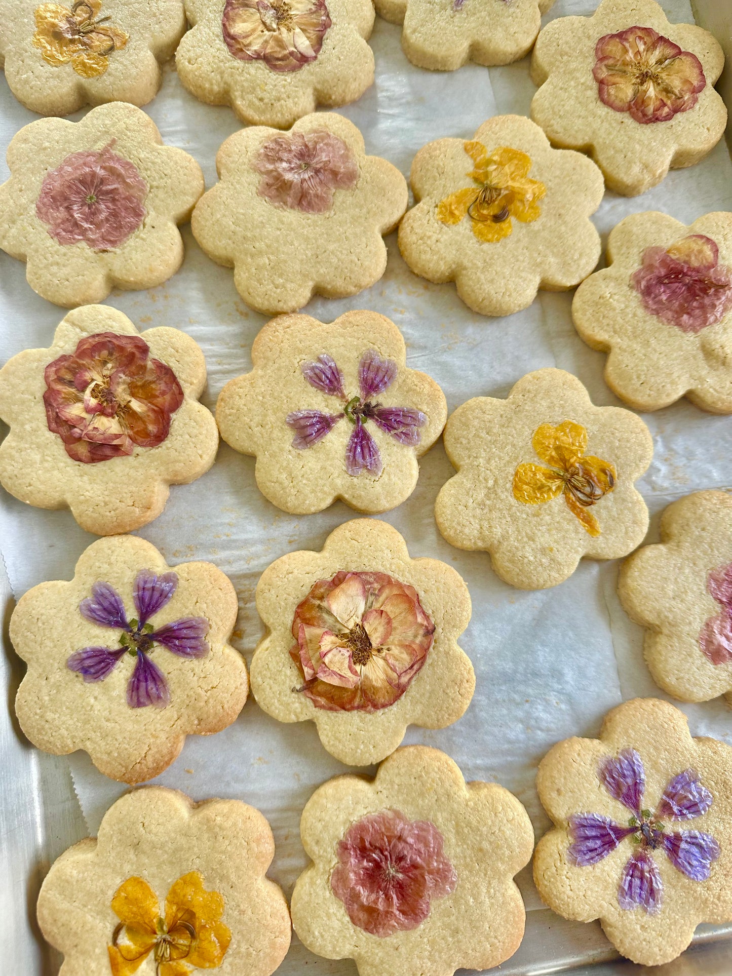 Edible Flower Cookies