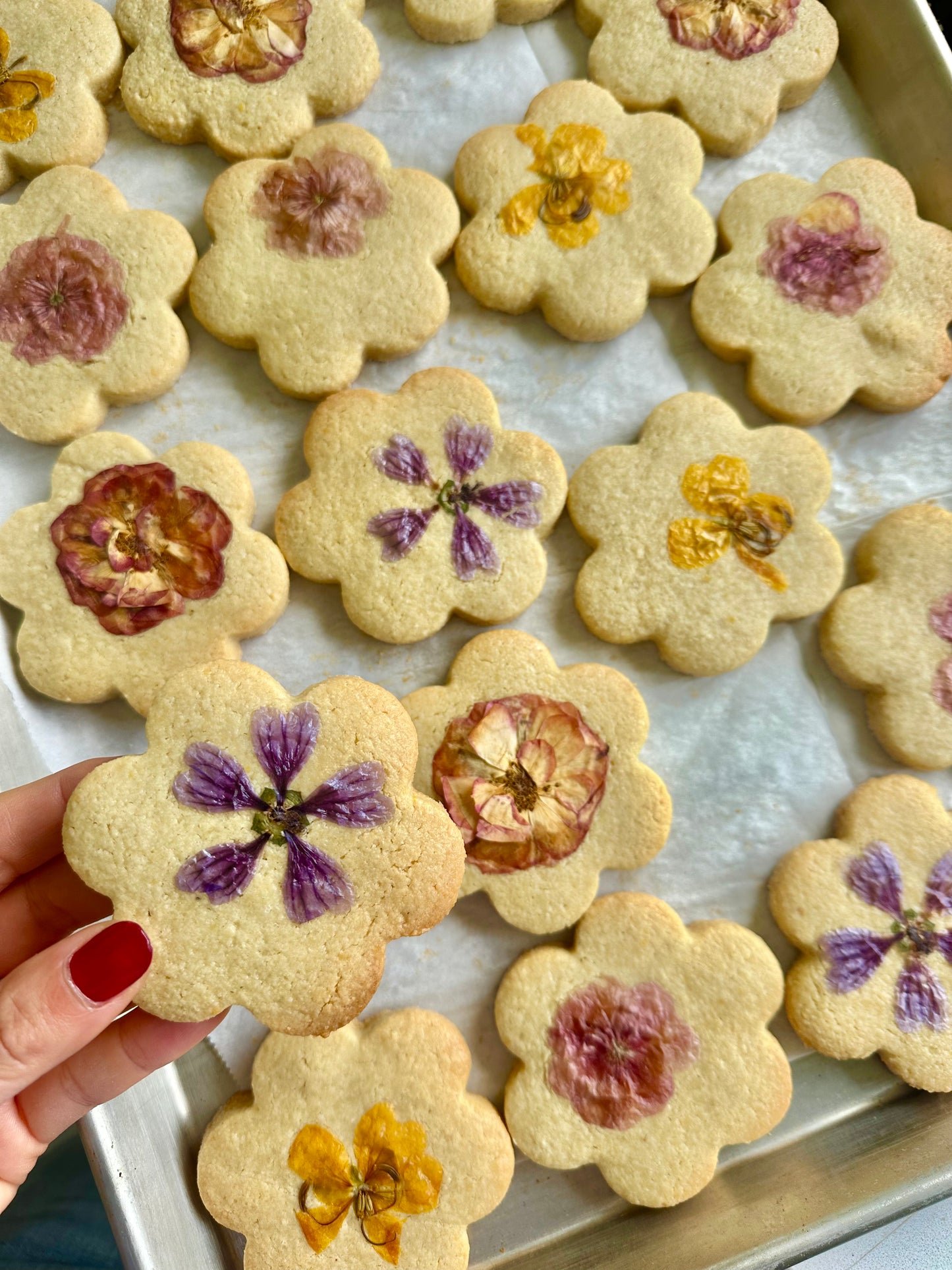 Edible Flower Cookies