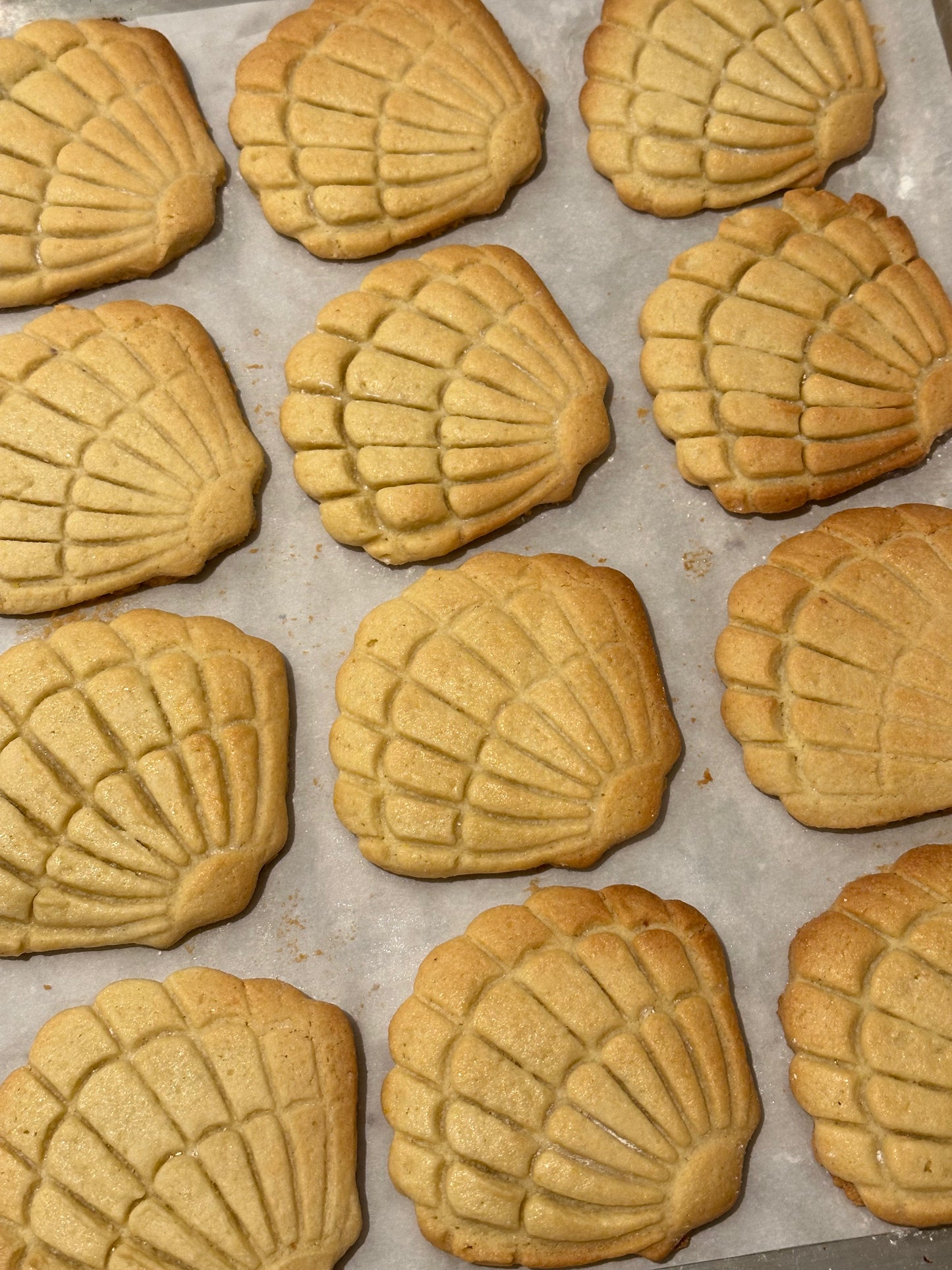 Seashell Cookies