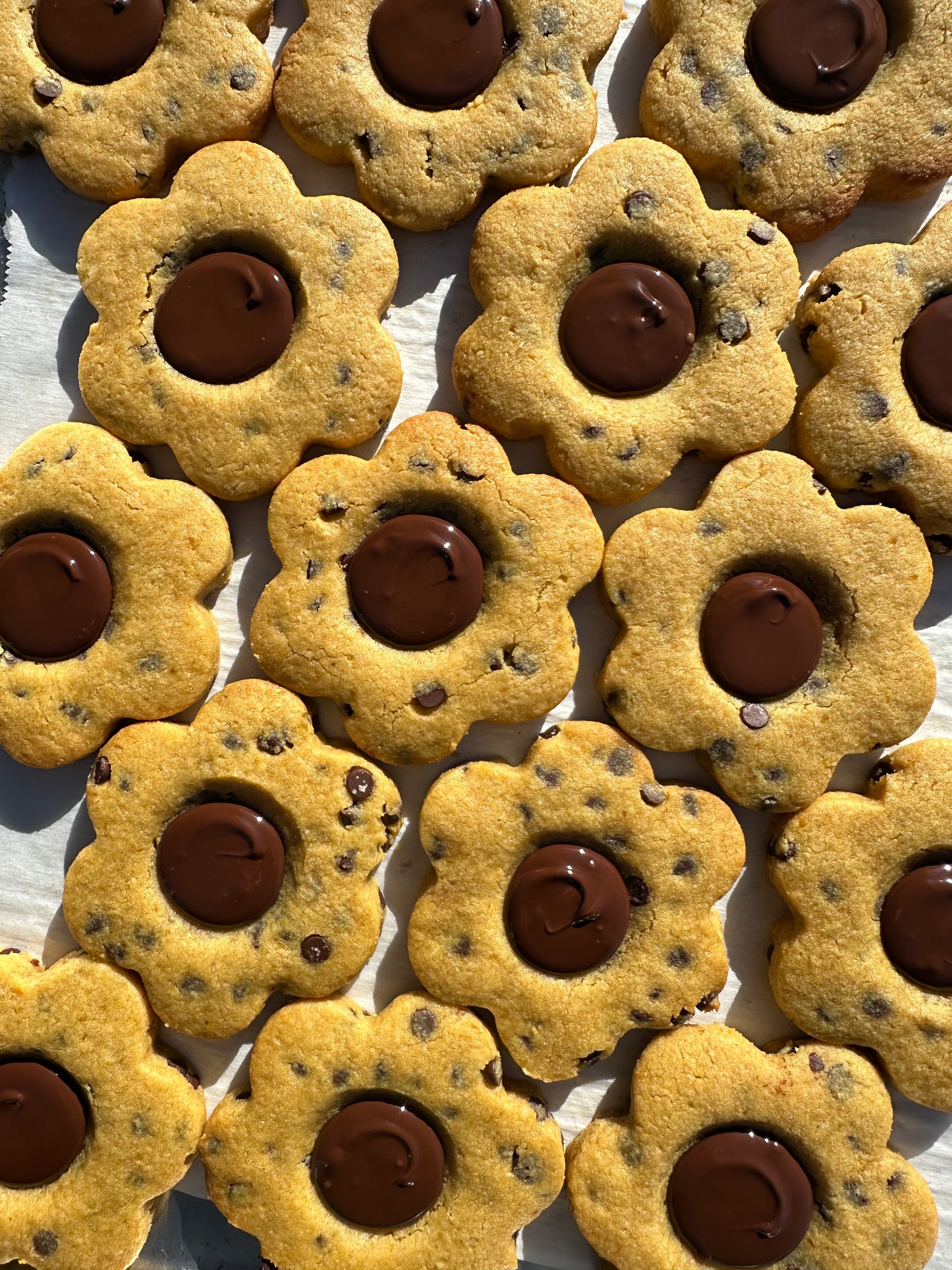 Vegan Chocolate Chip