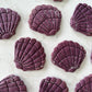 Seashell Cookies