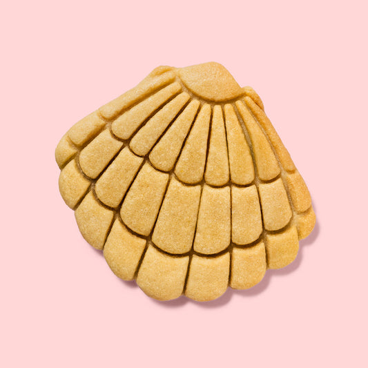 Seashell Cookies