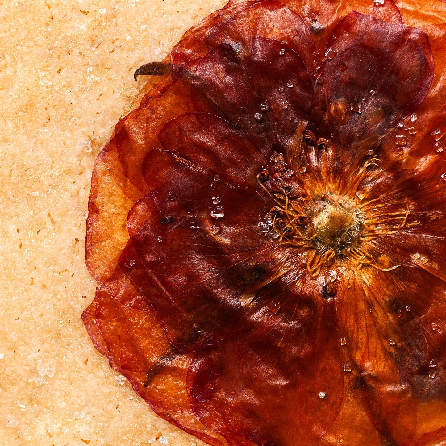 Edible Pressed Flower Cookies