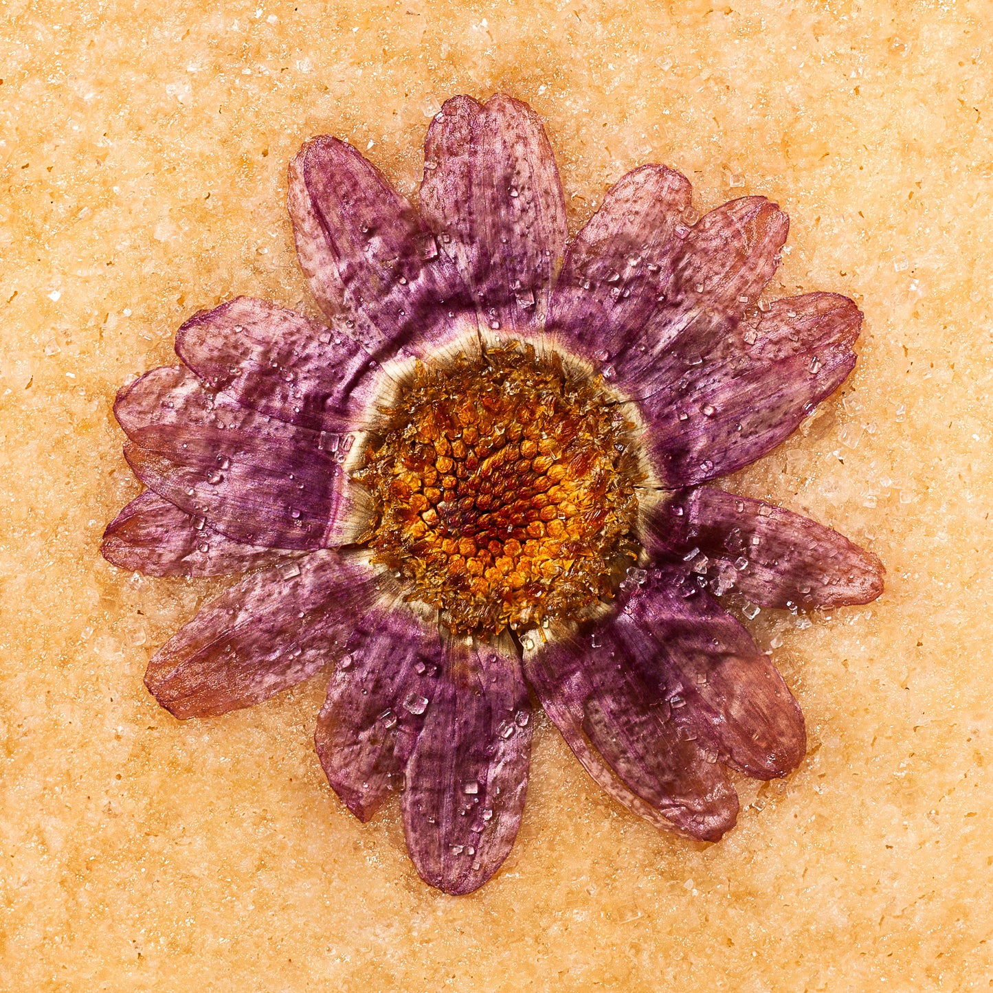 Edible Pressed Flower Cookies