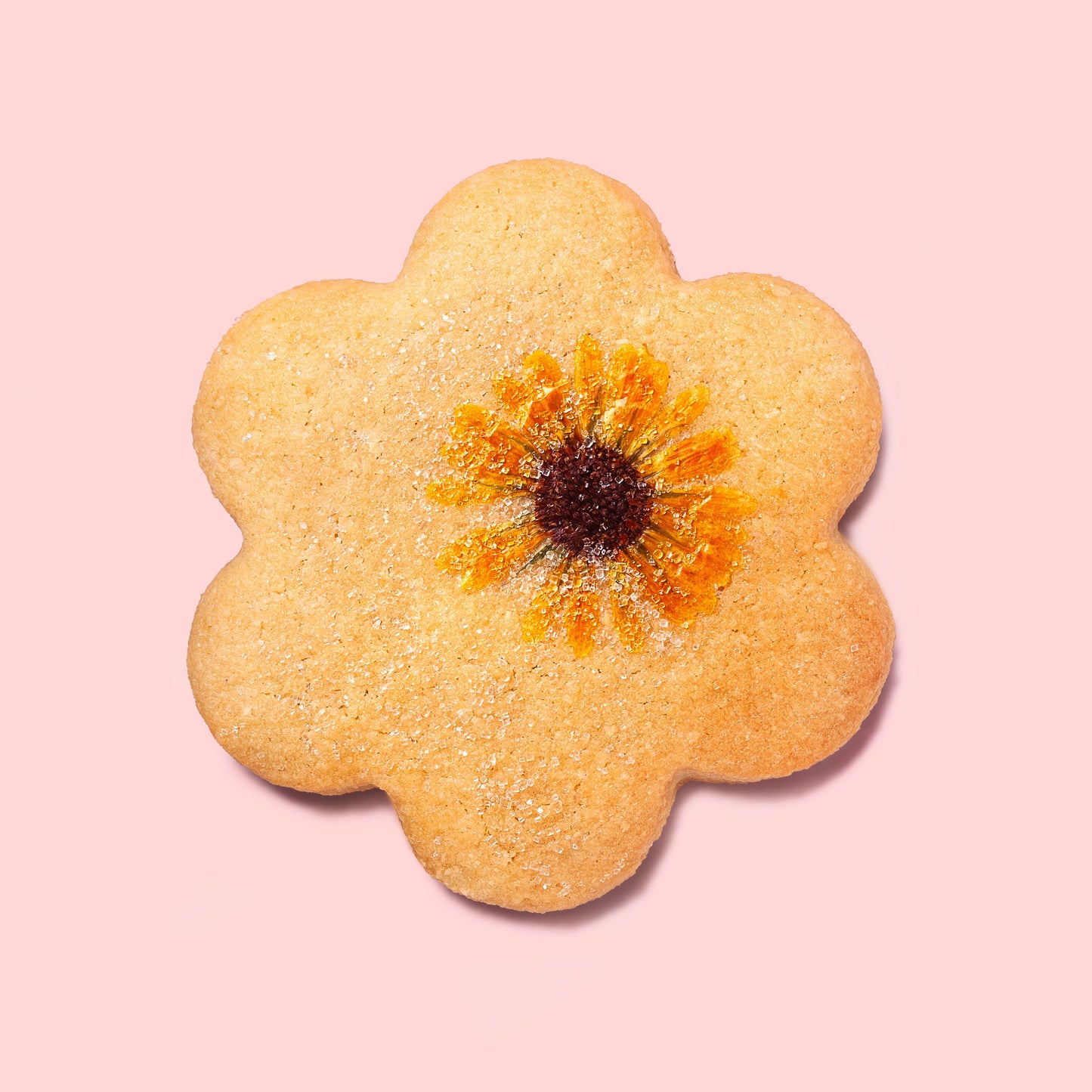 Edible Pressed Flower Cookies